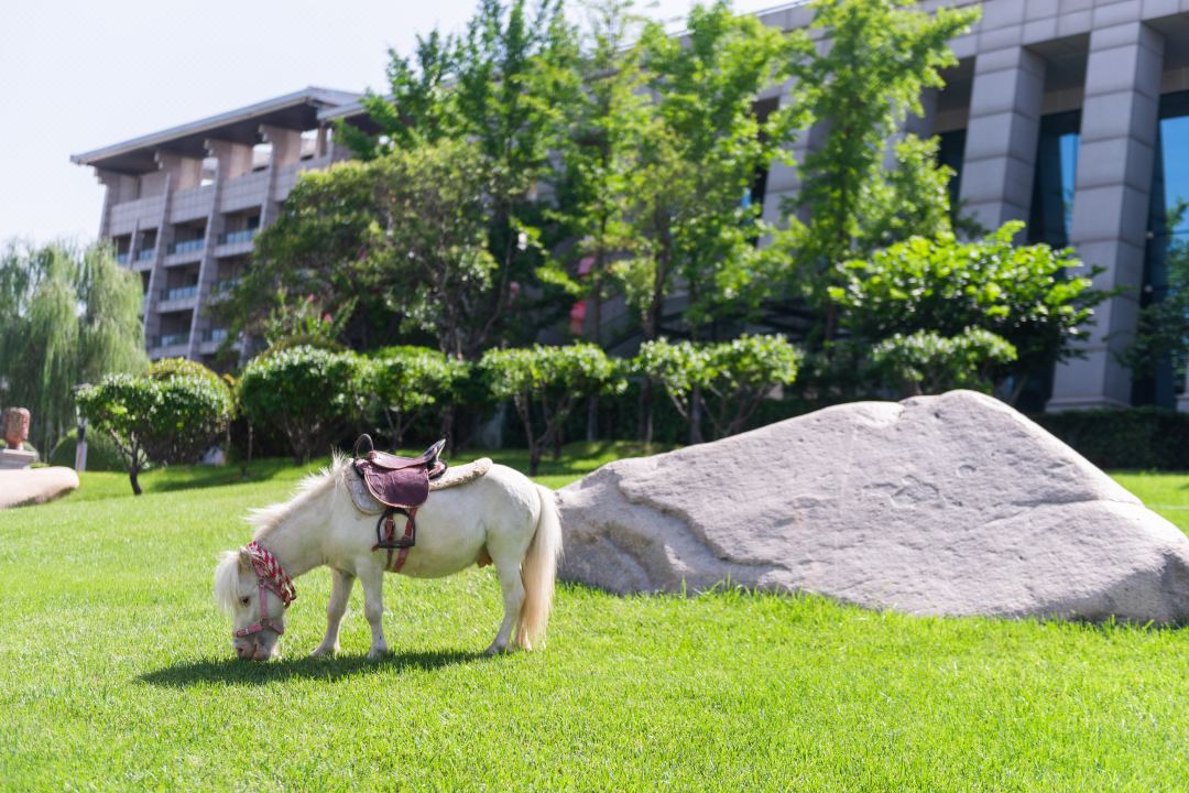 钱柜qg777(中国区)唯一官方网站