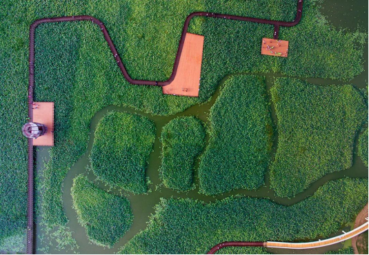 钱柜qg777(中国区)唯一官方网站