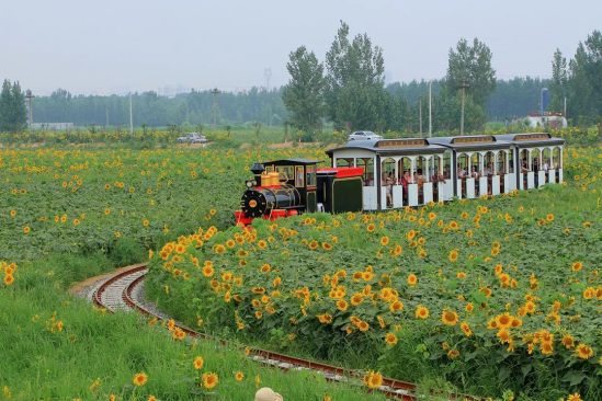 钱柜qg777(中国区)唯一官方网站