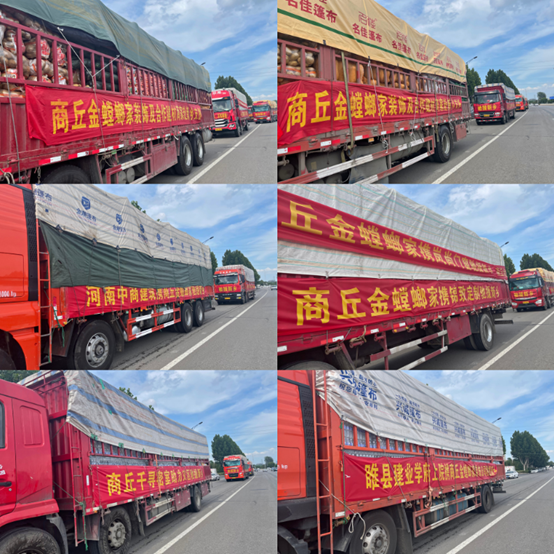 钱柜qg777(中国区)唯一官方网站